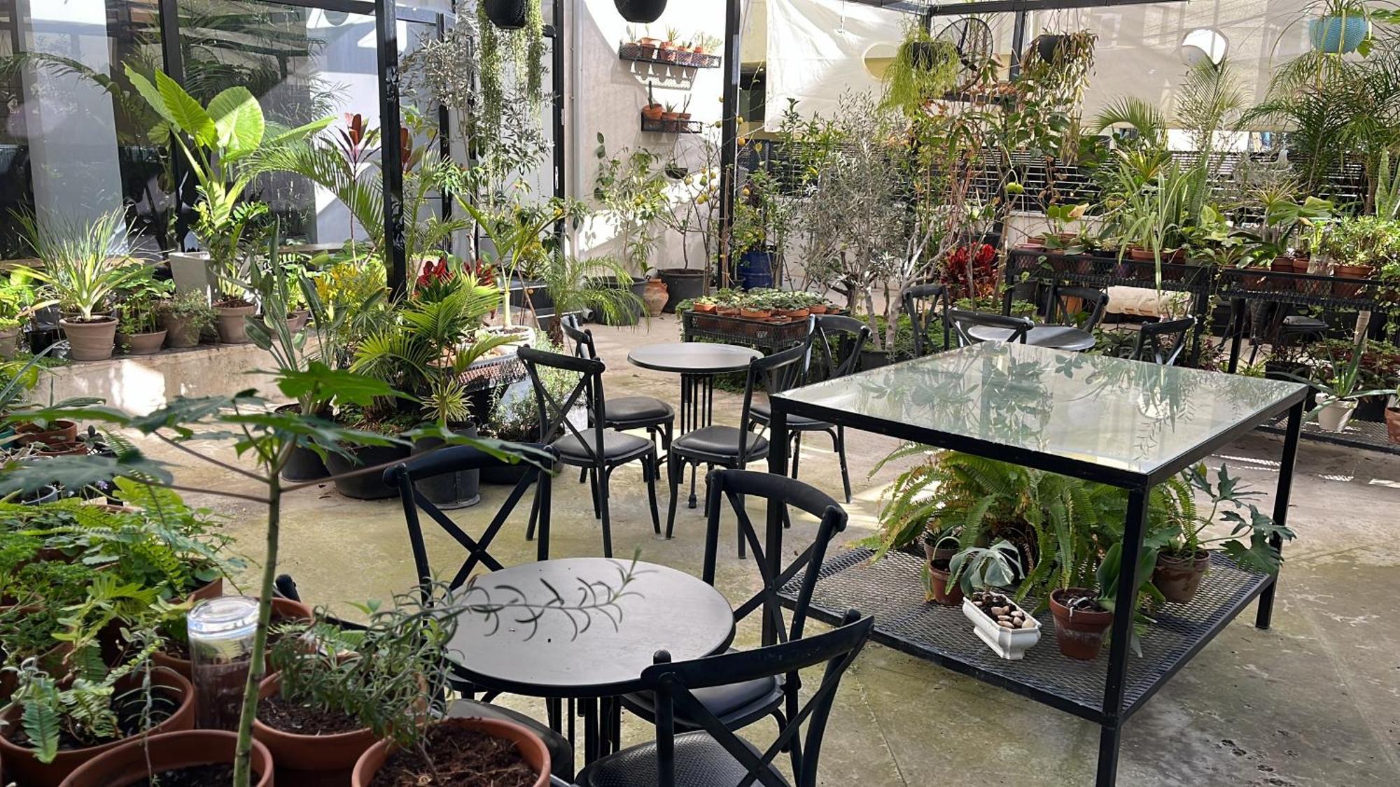 Yona 8 Bed & Breakfast Tel Aviv Ngoại thất bức ảnh